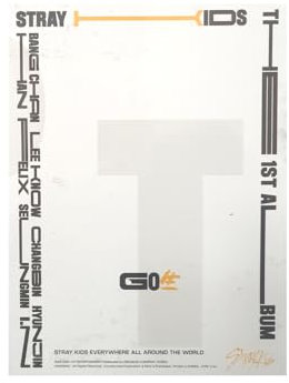 STRAYKIDS SKZ - 1ST ALBUM GO LIVE, [B TYPE]