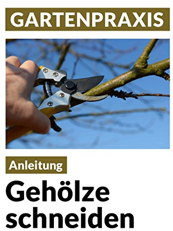 Gehölze schneiden - Obstbäume, Laub- und Ziergehölze: Pflege, Instandhaltung, Verjüngung, Form und Erziehung (Blumen & Gartenpraxis)