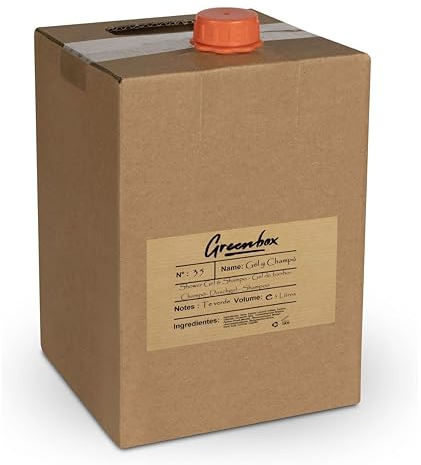 Recharge gel & shampoing en bag in box BIO - Gel douche et shampoing 2en1 à l'arôme thé vert, 5L. Emballage et poignée de transport écologiques. Économisez de l'argent et aidez l'environnement.