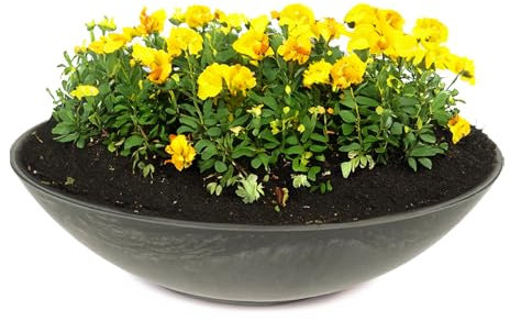 matches21 HOME & HOBBY Bac à plantes résistant aux intempéries pour l'extérieur de 35 cm – Noir marbré comme bac à fleurs – Bac décoratif