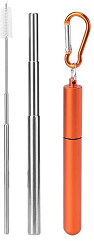 Reusable Straw Portable Retractable Stainless Steel with Aluminium Key Ring Case Telescopic Cleaning Brush