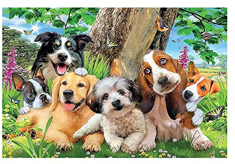 DCIDBEI Diamond Painting Hunde 40x50cm Diamant Painting Bilder Erwachsene Hunde Diamond Painting Hund Dackel Diamond Painting Hund Yorkshire Hund Labrador Diamond Painting Malteser Hund