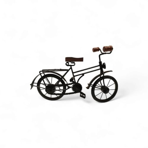 FTWDesign Dekoartikel Herren Fahrrad Dekoobjekt aus Metall in Schwarz