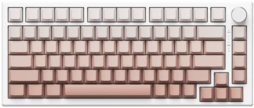Hyekit VGN A75 Rapid Trigger Gaming Tastatur - 75% Hall-Effekt Magnetschalter Tastatur, Einstellbare Betätigung, Tastenmakro, RGB, Dichtung, HotSwap, Gradient Side Printed Keycaps, für Win/MAC, Weiß