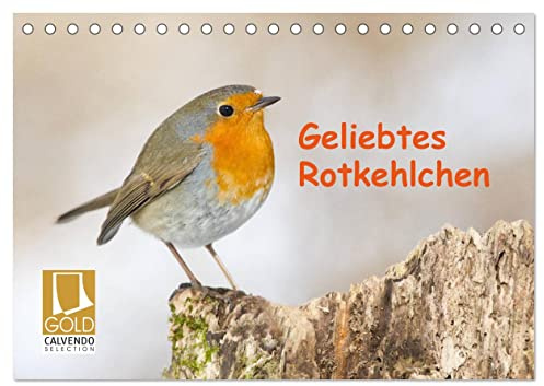 Geliebtes Rotkehlchen (Tischkalender 2026 DIN A5 quer), CALVENDO Monatskalender: Das anmutige Rotkehlchen präsentiert sich im Lauf der Jahreszeiten (CALVENDO Tiere)