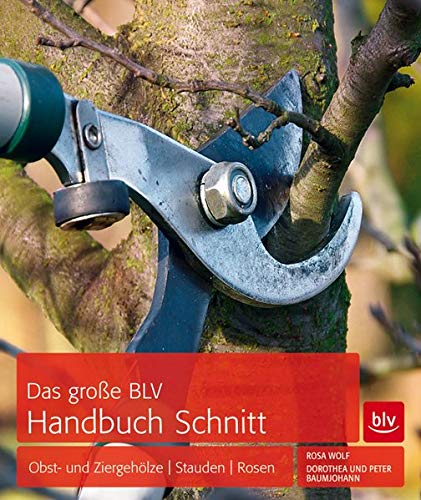 Das große BLV Handbuch Schnitt: Obst- und Ziergehölze | Stauden | Rosen