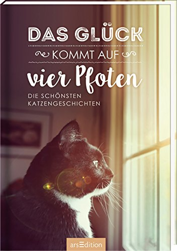 Das Glück kommt auf vier Pfoten: Die schönsten Katzengeschichten