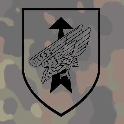 Copytec Aufkleber/Sticker - DSO Division Spezielle Operationen BW KSK Bundeswehr Abzeichen Wappen - 15x11cm schwarz #A219