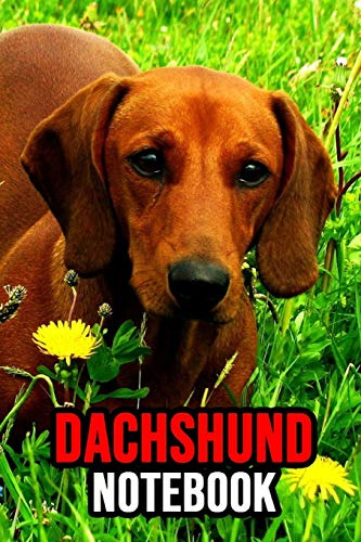 Dachshund Notebook: Journal / Diary / Notepad, Gifts For Dog Lovers (Lined, 6 x 9)