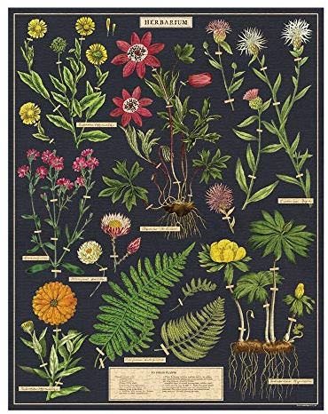 Cavallini Papers & Co. PZL Herbarium 1000 Teile Puzzle, Mehrfarbig/Meereswellen (Ocean Tides)