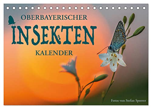 Oberbayerischer Insekten Kalender (Tischkalender 2026 DIN A5 quer), CALVENDO Monatskalender: Wie sechsbeinige Zweiflügler die Fantasie beflügeln (CALVENDO Tiere)