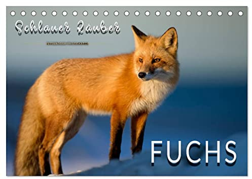 Fuchs - schlauer Räuber (Tischkalender 2026 DIN A5 quer), CALVENDO Monatskalender: Eindrucksvolle Bilder der scheuen Tiere. (CALVENDO Tiere)