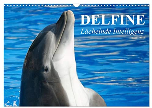 Delfine - Lächelnde Intelligenz (Wandkalender 2026 DIN A3 quer), CALVENDO Monatskalender: Die intelligenten Säugetiere mit Ich-Bewusstsein (CALVENDO Tiere)