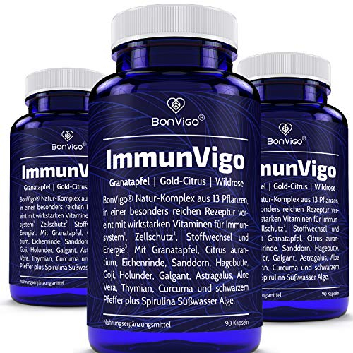 ImmunVigo Kur 135 Tage - Normale Funktion Immunsystem unterstützen Zink, Mangan, Kupfer, Vit. A B6 B12 C - Plus Naturkunde Komplex Granatapfel, Gold Citrus, Wildrose, Aloe Vera - 270 Kapseln