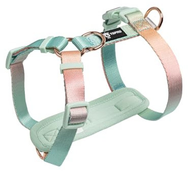 TSPRO Hundegeschirr Mittelgroße Hunde, No Pull Hundegeschirr Leichtes Gewicht Adjustierbar Gradientfarbe Geschirr für Hunde mit Schnellspanner Atmungsaktiv und Langlebig (Gelb Grün, Größe 2)