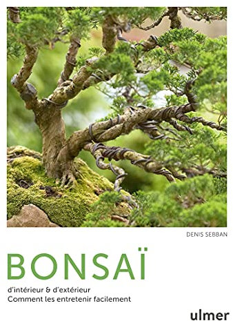 Bonsaï d'intérieur & d'extérieur - Comment les entretenir facilement