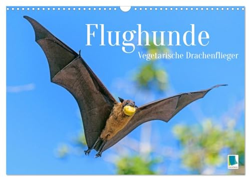 Flughunde: Vegetarische Drachenflieger (Wandkalender 2026 DIN A3 quer), CALVENDO Monatskalender: Vegetarier, nicht Vampir: nur nach Obst und Nektar jagt der Flughund (CALVENDO Tiere)