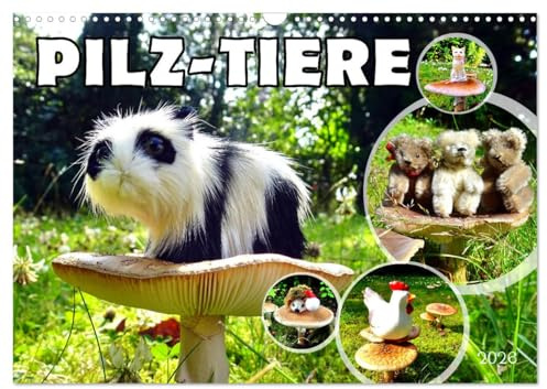 Pilz-Tiere (Wandkalender 2026 DIN A3 quer), CALVENDO Monatskalender: Pilze mit Tierfiguren im Hausgarten (CALVENDO Natur)