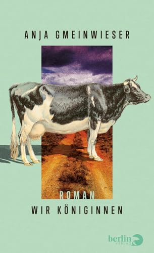 Wir Königinnen: Roman | Ausgezeichnet mit dem Literaturpreis Fulda 2026