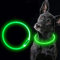 LED Hundehalsband wiederaufladbar USB universelle Größe Leuchthalsband (grün)