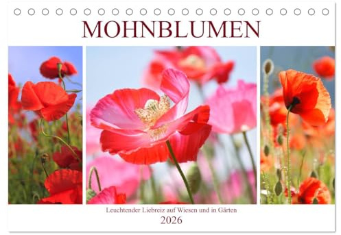 Mohnblumen. Leuchtender Liebreiz auf Wiesen und in Gärten (Tischkalender 2026 DIN A5 quer), CALVENDO Monatskalender: Die knallbunten Mohnblumen ... dekorativen Gewächsen (CALVENDO Natur)