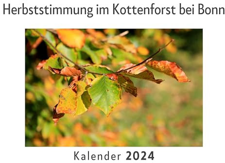 Herbststimmung im Kottenforst bei Bonn (Wandkalender 2024, Kalender DIN A4 quer, Monatskalender im Querformat mit Kalendarium, Das perfekte Geschenk)