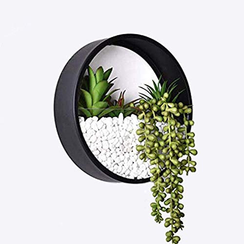 Ecosides Wall Planter Round Metal Glass,Wall Vase Wall Terrarium Wall Flower Pot Air Plant Holder Succulent Vertical Container,Indoor Decor for Living Room,Kitchen,Balcony,Stair (Black, Large 30cm)