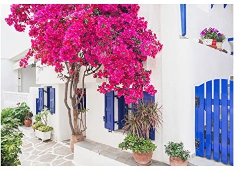 Vlies Fototapete Gasse inkl. Kleister Griechenland Blumen Wohnzimmer Schlafzimmer Modern Motivtapeten Wandtapete Tapete Vliestapete UV-Beständig Montagefertig (368x254 cm - 2 Bahnen)