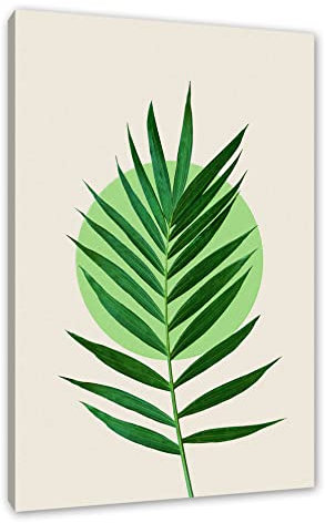 Pixxprint Modern Art Botanical - Farn VI als, Größe: 60x40cm, Leinwandbild, fertig gespannt, Wandbild, Dekoration, Kunstdruck, kein Poster