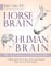 Horse Brain, Human Brain: The Neuroscience of Horsemanship