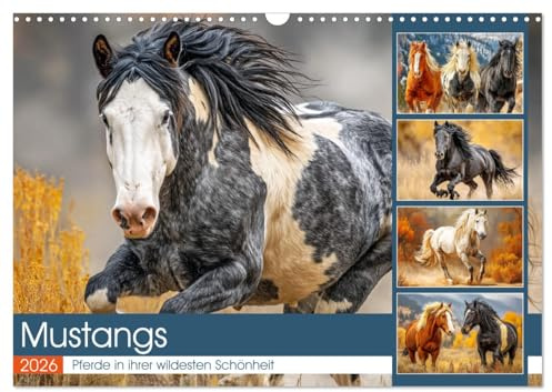 Mustangs. Pferde in ihrer wildesten Schönheit (Wandkalender 2026 DIN A3 quer), CALVENDO Monatskalender: Wilde Pferde im Einklang mit der unberührten Natur (CALVENDO Tiere)