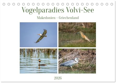 Vogelparadies Volvi-See (Tischkalender 2026 DIN A5 quer), CALVENDO Monatskalender: Der Volvi-See in Makedonien, Griechenland (CALVENDO Tiere)