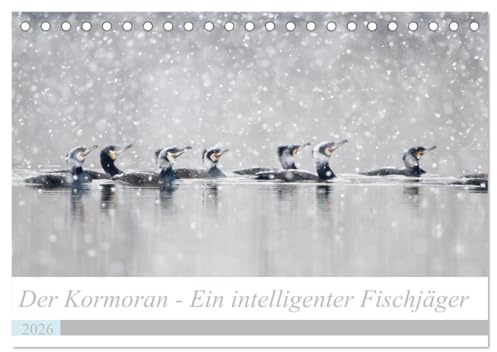 Der Kormoran - Ein intelligenter Fischjäger (Tischkalender 2026 DIN A5 quer), CALVENDO Monatskalender: Intime Einblicke in das Leben des Kormorans im Verlauf des Jahres (CALVENDO Tiere)