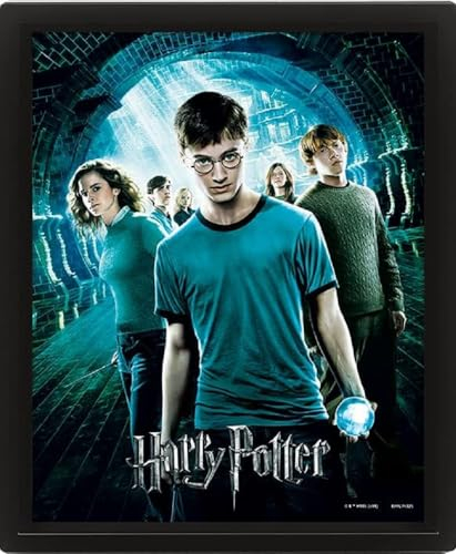 Pyramid International Harry Potter (Order Of The Phoenix) 3D Bilderrahmen 30 x 40 cm