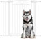 PawHut Barrera de Seguridad para Perros 76-104 cm Con 2 Extensiones 7/14 cm y Doble Bloqueo para Escaleras y Puertas Blanco