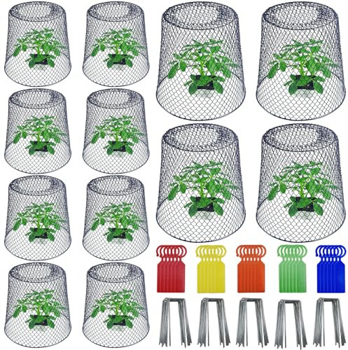 12PCS 23x23cm Chicken Wire Plant Covers Protectors with 40 U-Shaped Stakes & 30 Labels,Garden Cloches Plants Cages for Outdoor,Heavy Duty Metal Plant Protectors from Chicken Bunnies Squirrels Birds