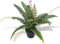Maison & Jardin,Mobilier Plante Fougère Artificielle avec Pot 50cm Vert