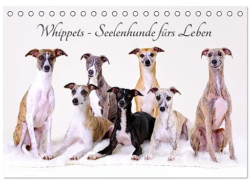 Whippets - Seelenhunde fürs Leben (Tischkalender 2026 DIN A5 quer), CALVENDO Monatskalender: Der Whippet ist die perfekte Mischung aus Kraft und Eleganz (CALVENDO Tiere)