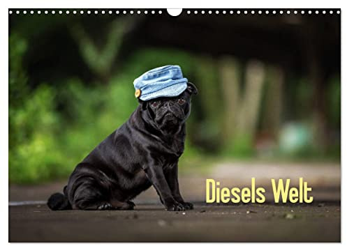 Diesels Welt (Wandkalender 2026 DIN A3 quer), CALVENDO Monatskalender: 12 Monate mit mopsigen Bildern (CALVENDO Tiere)