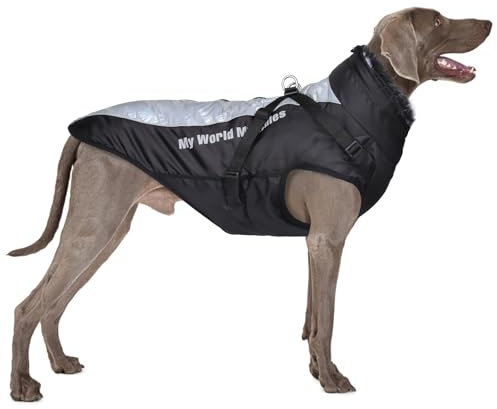 FEimaX Hundemantel Winterjacke für Hunde, Hundejacke Wasserdicht mit Weiche Plüsch Winter Warme Mantel Reflektierend Welpen Weste Haustier Kleidung für kleine Mittlere Große Hunde