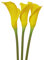 3 Stück künstliche Calla-Lilienblumen, 61 cm, künstliche Lilien, Seidenblume, künstlicher Blumenstrauß, weich, langer Stiel, Pflanzen für Zuhause, Wohnzimmer, Party, Gartendekoration (gelb)