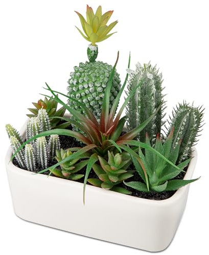 Oairse Kunstpflanze Kaktus Kunstpflanze Sukkulenten im Keramiktopf Zimmerpflanze Decorative Wohnzimmer, Fensterbank, Tischdeko Deko für Wohnzimmer Mutter Tochter Geschenk, Weiß Topf