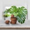 Chimney Sheep 300ml Terracotta Mini-Olla Self-Watering Spike Plant Pot Irrigator