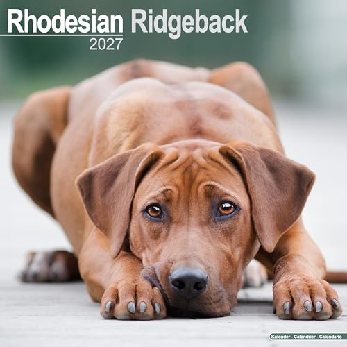 Rhodesian Ridgeback Wall