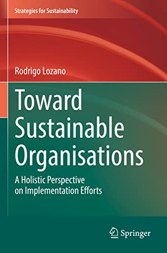 Toward Sustainable Organisations: A Holistic Perspective on Implementation Efforts (Strategies for Sustainability)