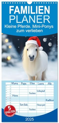 Familienplaner 2025 - Kleine Pferde. Mini-Ponys zum verlieben mit 5 Spalten (Wandkalender, 21 cm x 45 cm), CALVENDO: Zauberhafte Wintzlinge erobern die Herzen! (CALVENDO Tiere)