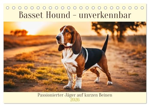 Basset Hound - unverkennbar (Tischkalender 2026 DIN A5 quer), CALVENDO Monatskalender: Passionierter Jäger auf kurzen Beinen (CALVENDO Tiere)