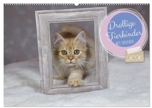 Drollige Tierkinder Mit Sprüchen (Wandkalender 2026 DIN A2 quer), CALVENDO Monatskalender: Junge Hunde und Katzen beim schlafen und spielen mit Sprüchen versehen. (CALVENDO Tiere)