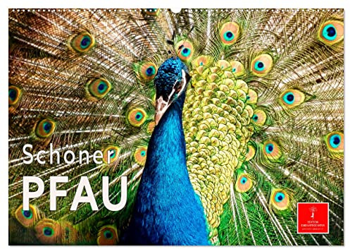 Schöner Pfau (Wandkalender 2026 DIN A2 quer), CALVENDO Monatskalender: Der Pfau - einer der ältesten Ziervögel der Menschen. (CALVENDO Tiere)