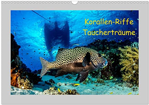 Korallen-Riffe Taucherträume (Wandkalender 2026 DIN A3 quer), CALVENDO Monatskalender: Unterwasseraufnahmen von den Korallenriffen der Philippinen (CALVENDO Natur)